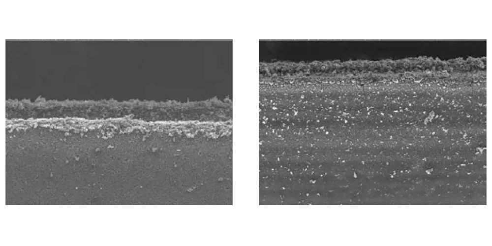Figure 4 Figure 4